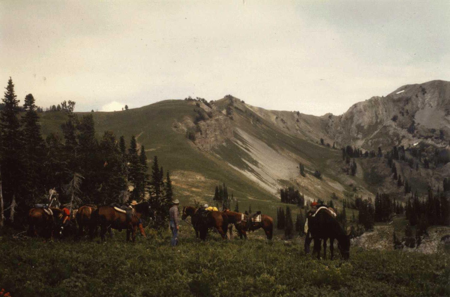 Warren McCain Western Life natural landscape